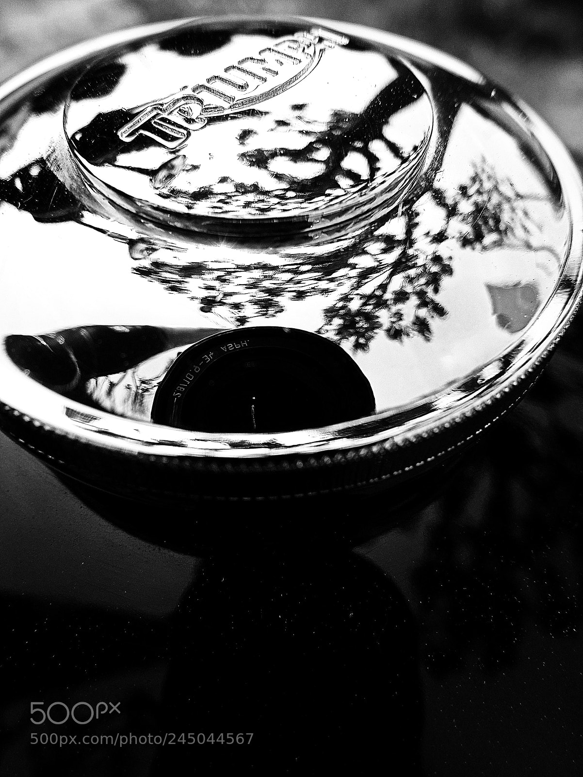 Leica D-Lux (Typ 109) sample photo. Chrome reflection photography