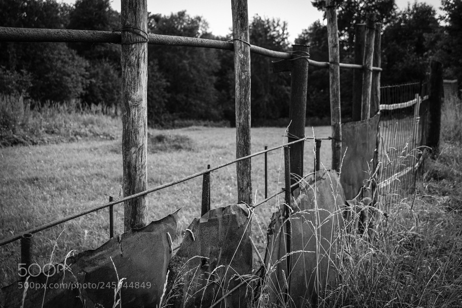 Fujifilm X-T20 sample photo. Guardrail photography