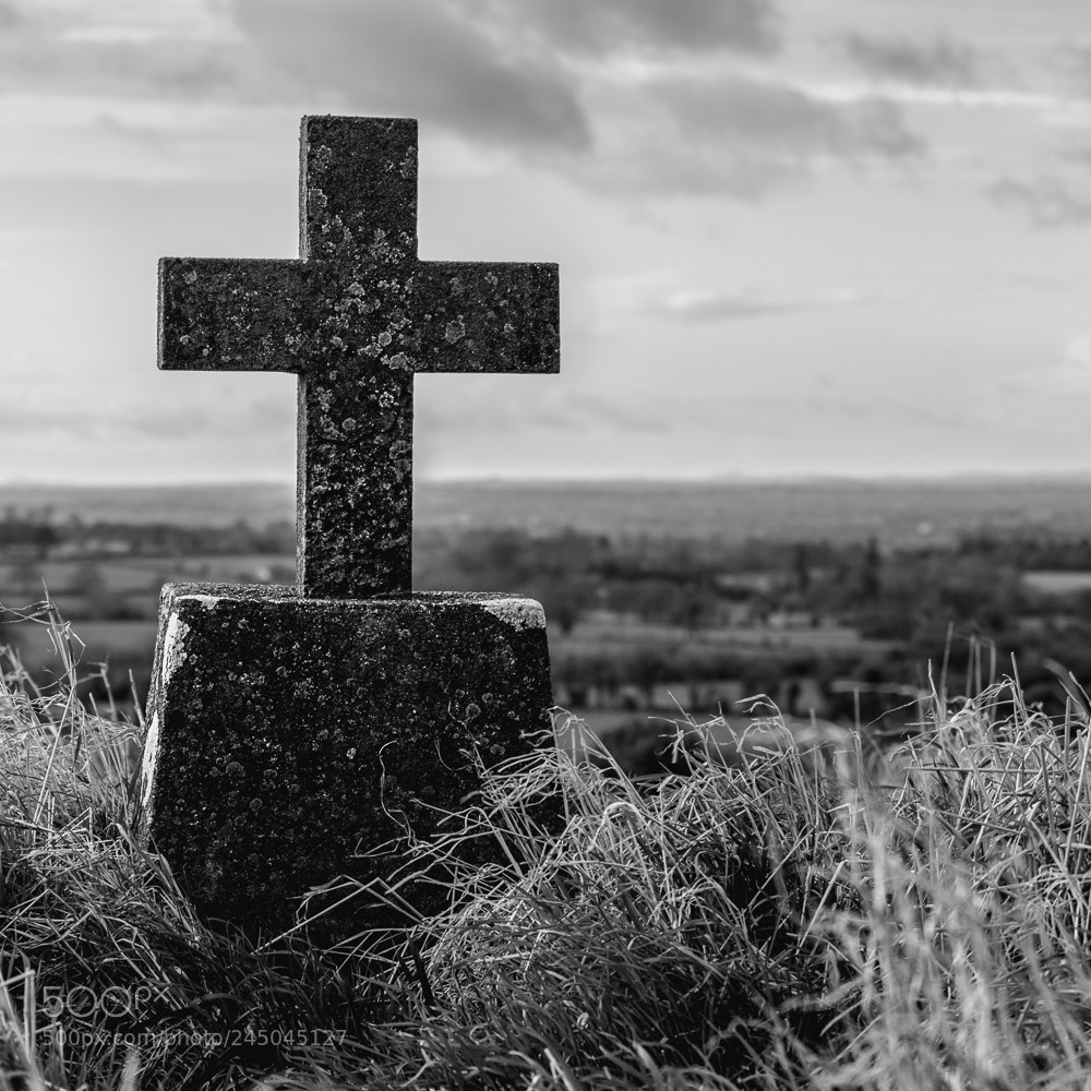Nikon D5600 sample photo. Cross photography