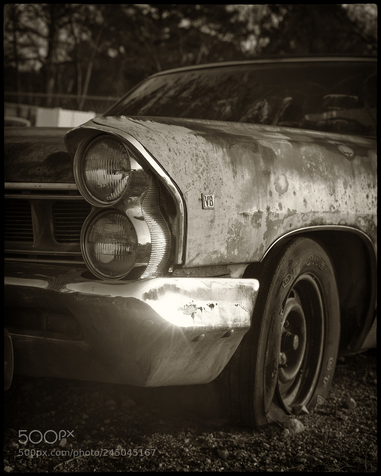 Leica M Monochrom (Typ 246) sample photo. I need a v8 photography