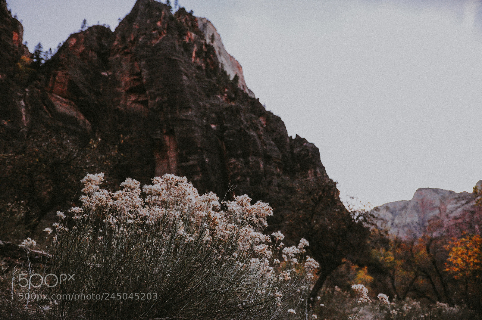 Nikon D90 sample photo. Canyons photography