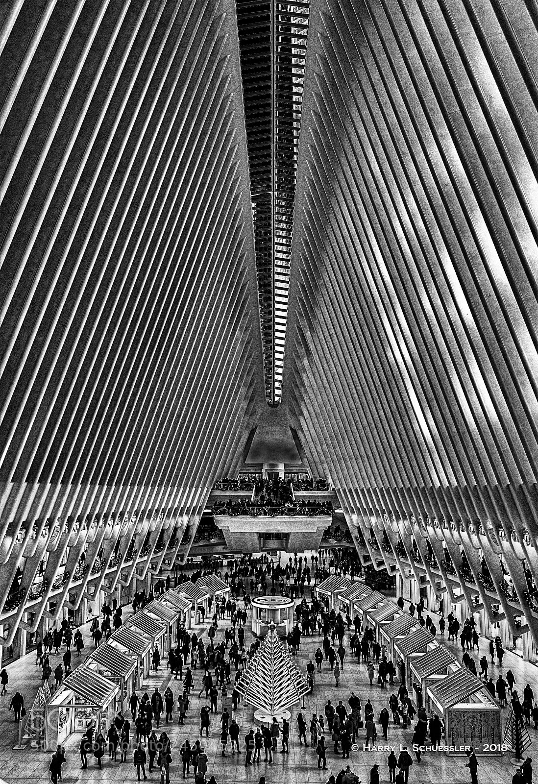 Nikon D800E sample photo. Inside the occulus photography