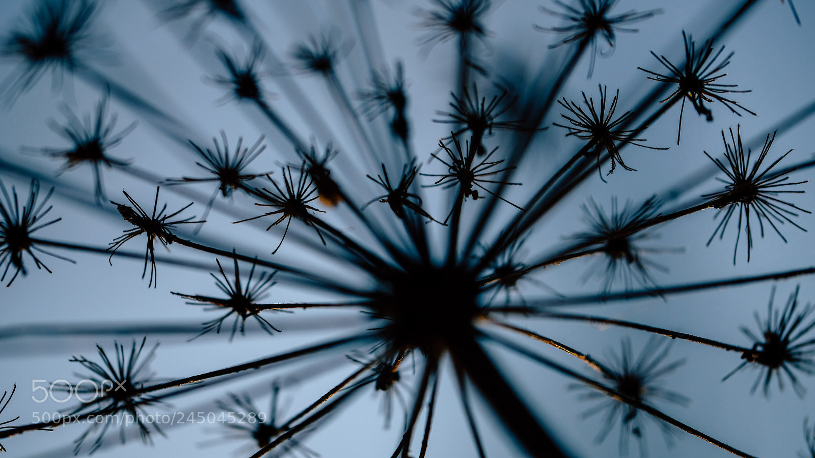 Fujifilm X-T20 sample photo. Nature photography