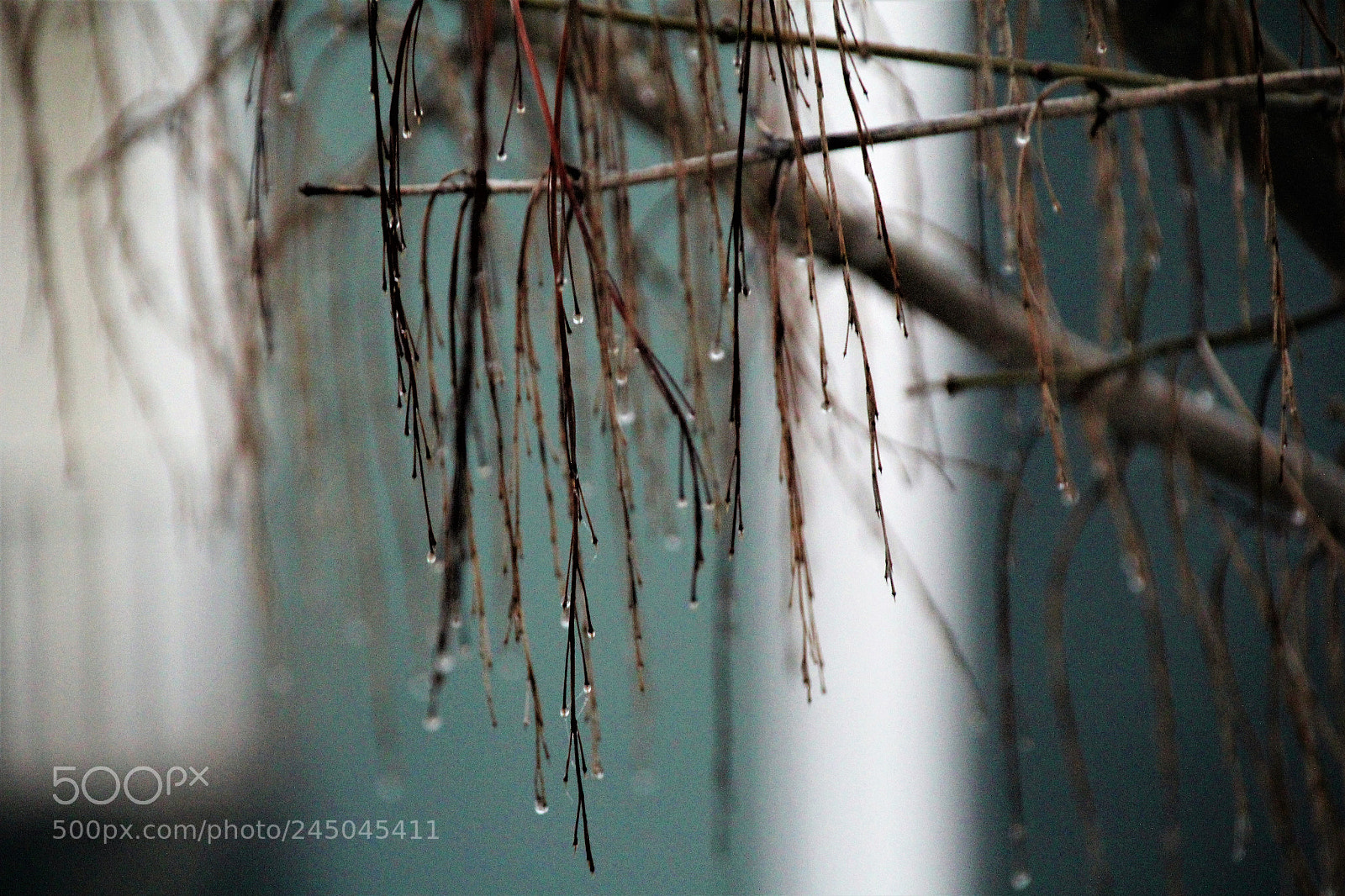 Canon EOS 60D sample photo. Morning after storm photography