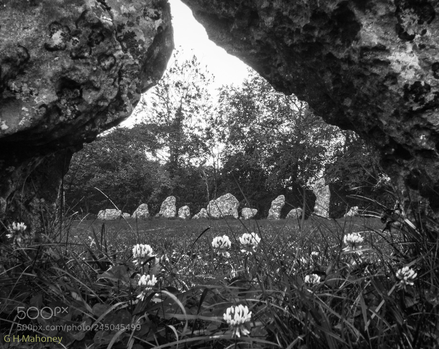 Olympus OM-D E-M10 II sample photo. The rollright stones photography