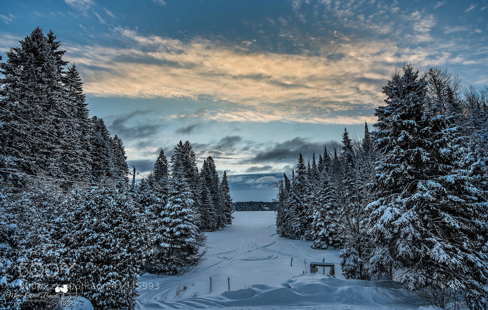 Nikon D810 sample photo. Un petit lundi de photography