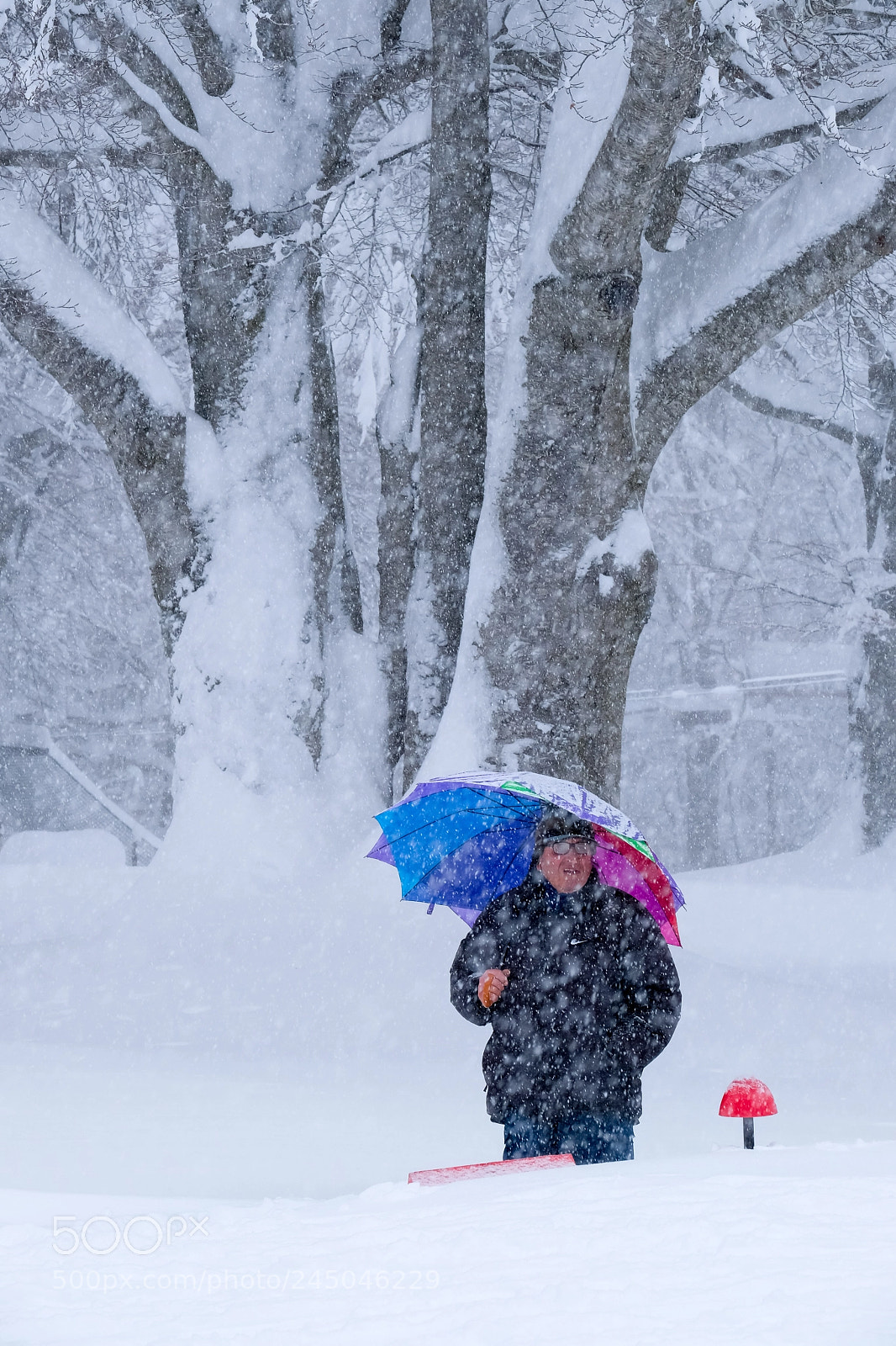 Fujifilm X-T2 sample photo. Osservando la neve che photography