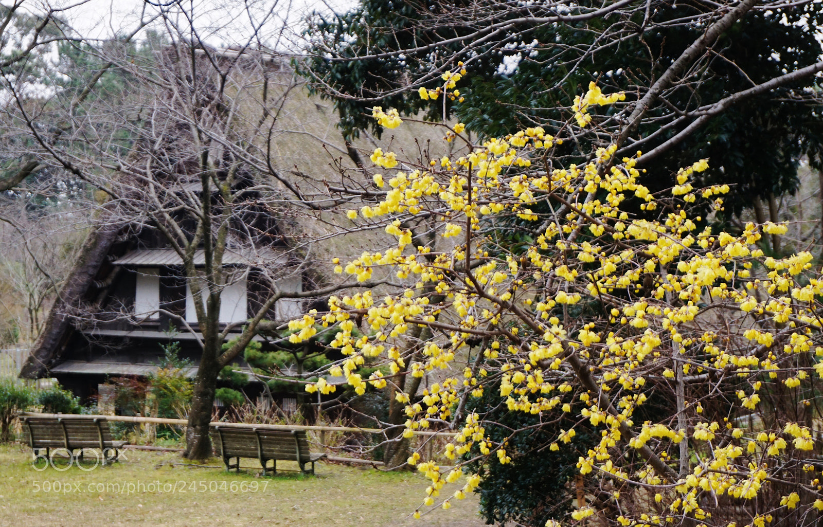 Sony a5100 sample photo. Dsc photography