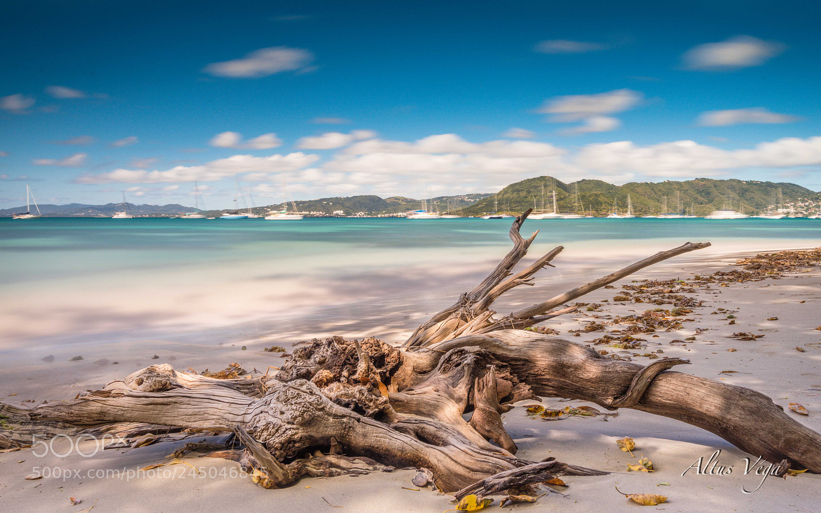 Sony a7R sample photo. Bois flotté anse caritan photography