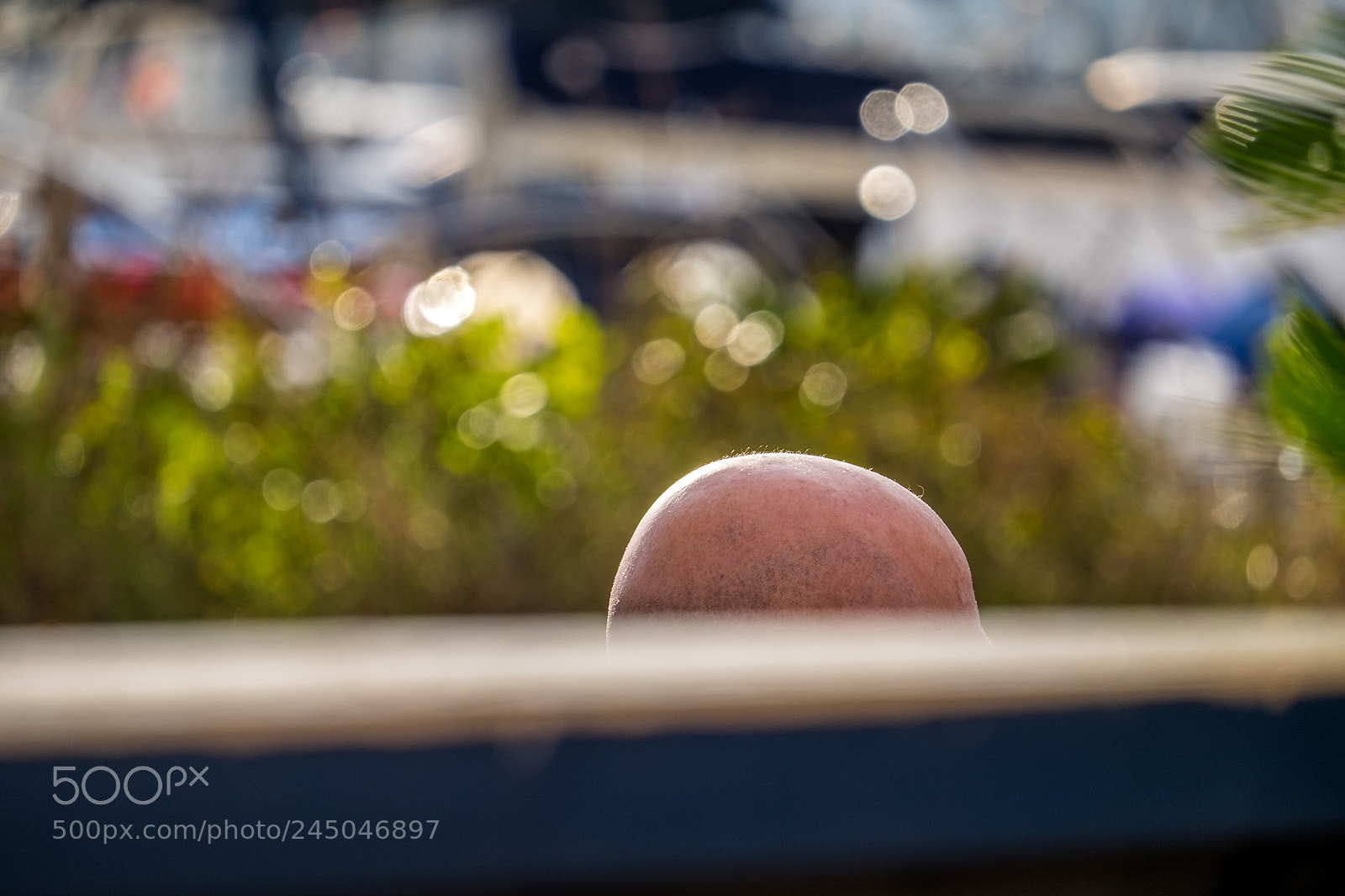 Fujifilm X-T10 sample photo. Denia photography