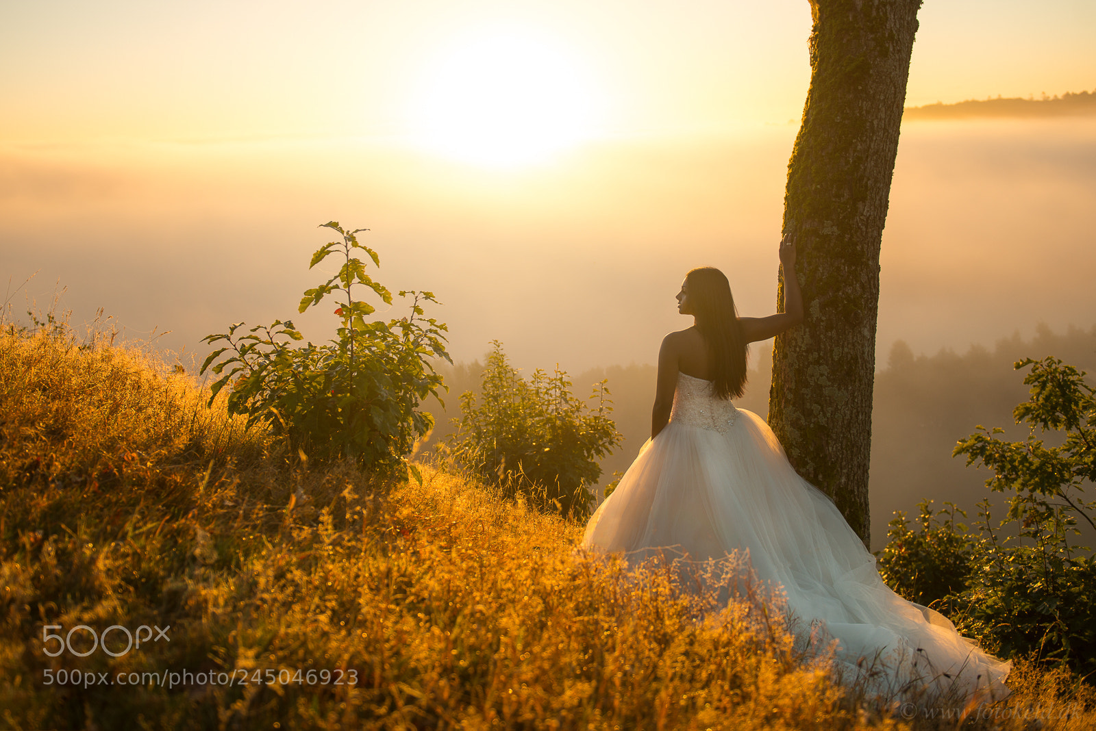 Nikon D800 sample photo. Danesha at the top photography