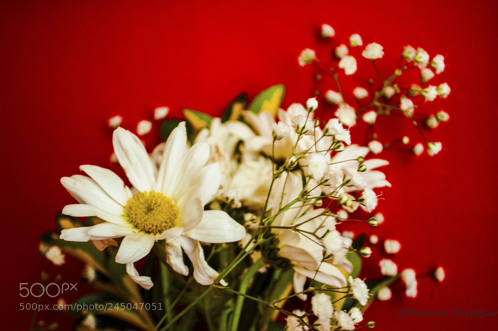 Nikon D100 sample photo. .....jpg photography