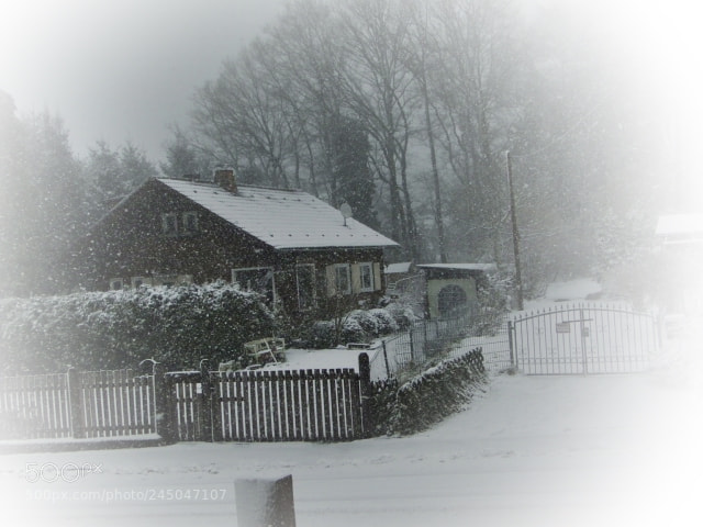 Sony Cyber-shot DSC-HX1 sample photo. Schneegestöber photography