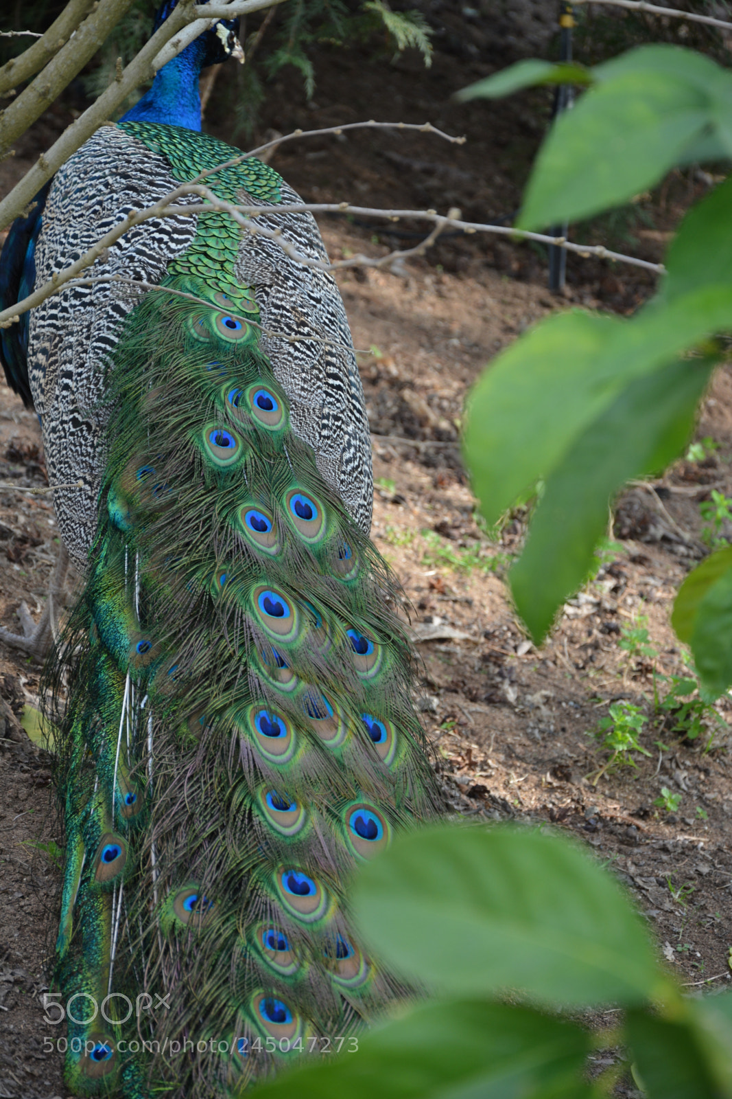 Nikon D5200 sample photo. Untitled photography