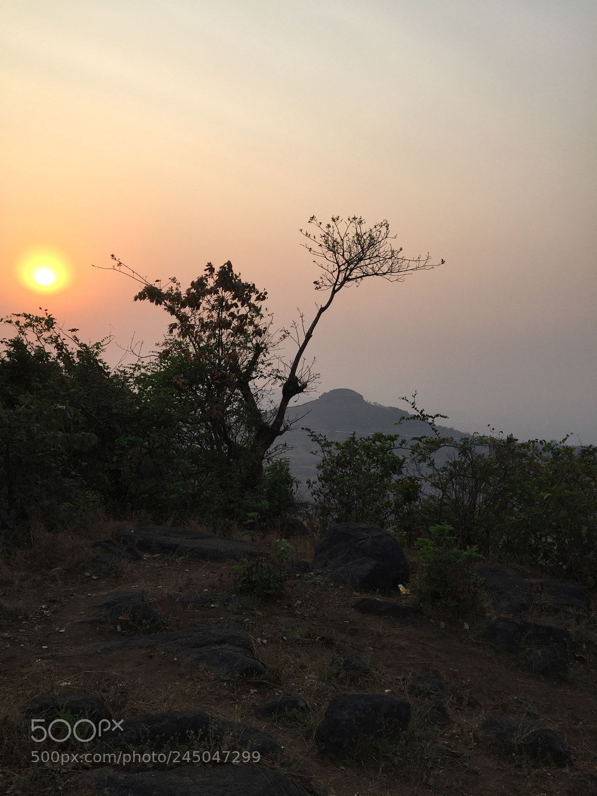 Apple iPhone 6 sample photo. Lonaval photography