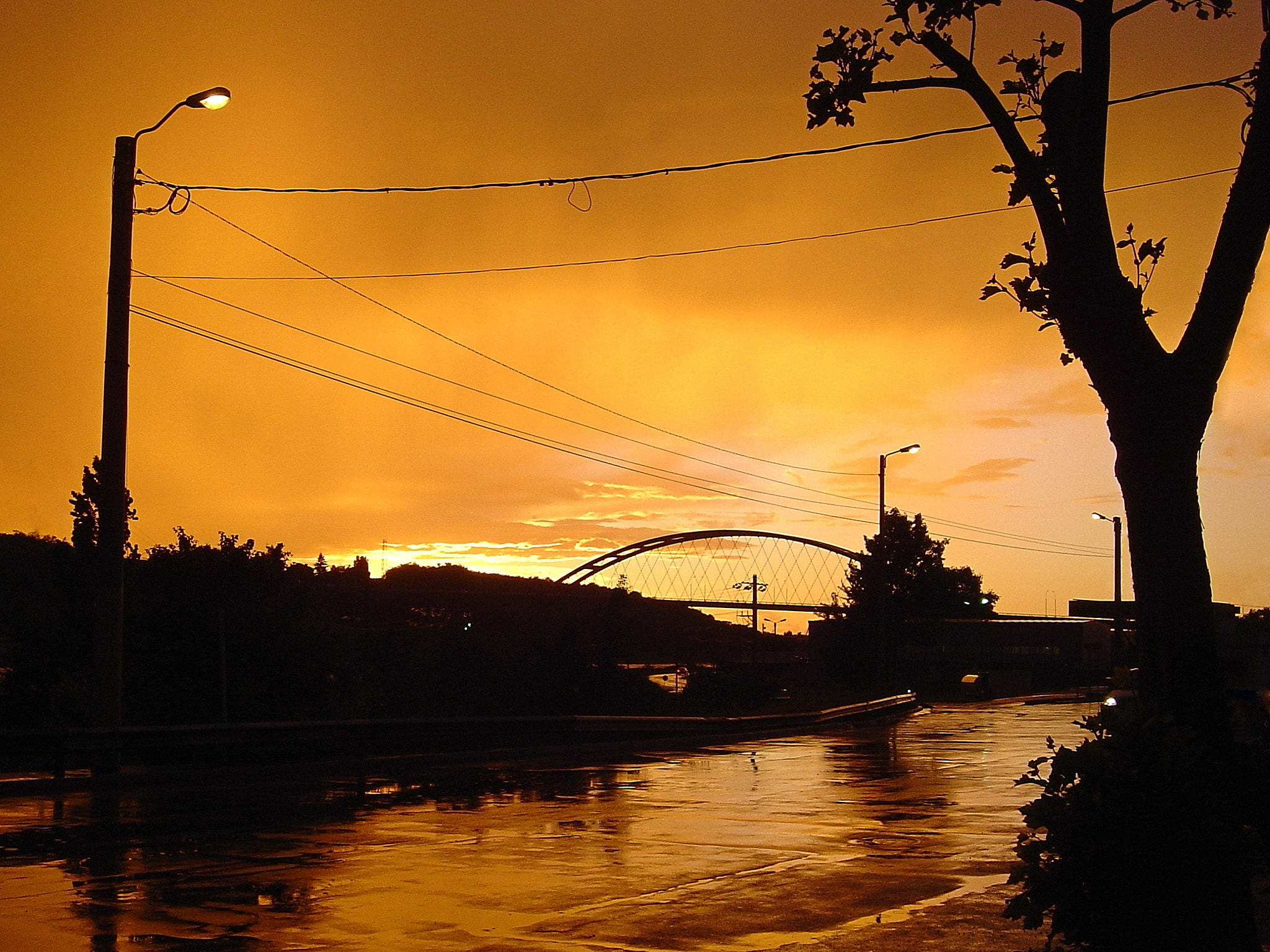 Sony DSC-P92 sample photo. Right after the rain photography