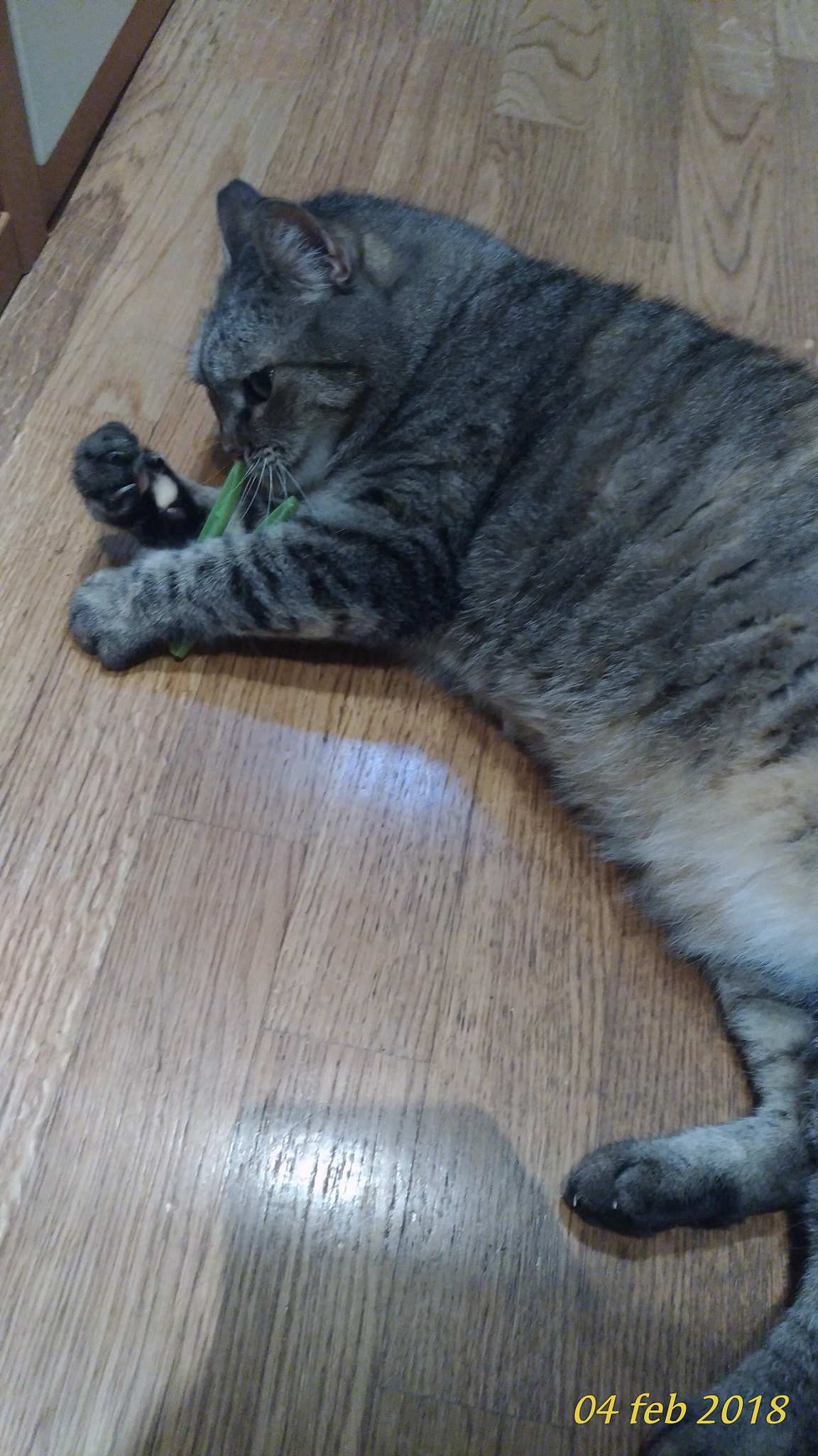 ASUS ZenFone 3 (ZE520KL) sample photo
