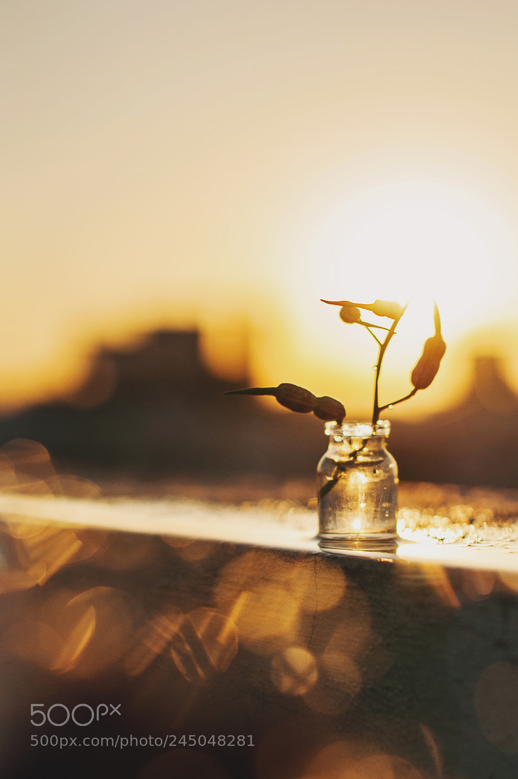 Nikon D90 sample photo. Morning sunrise on terrace photography