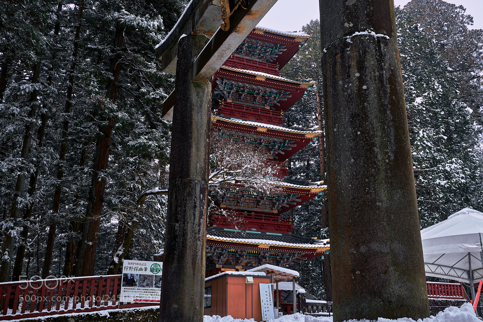 Nikon D850 sample photo. Torii and five-storied pagoda photography