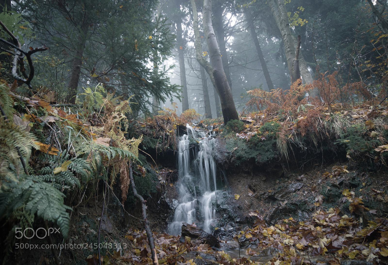 Canon EOS 760D (EOS Rebel T6s / EOS 8000D) sample photo. Stream in the woods photography