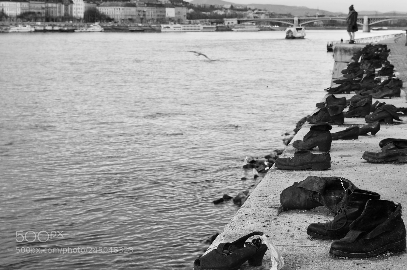 Nikon D5100 sample photo. Shoes on the danube photography