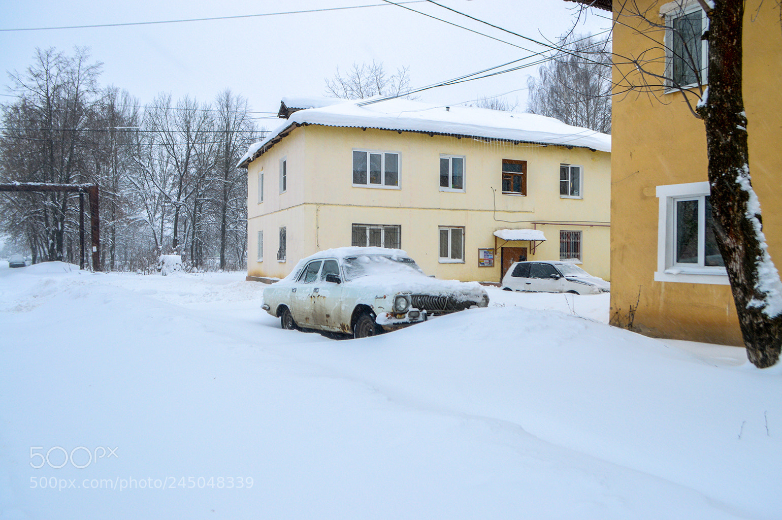 Nikon D3200 sample photo. Waiting till spring photography