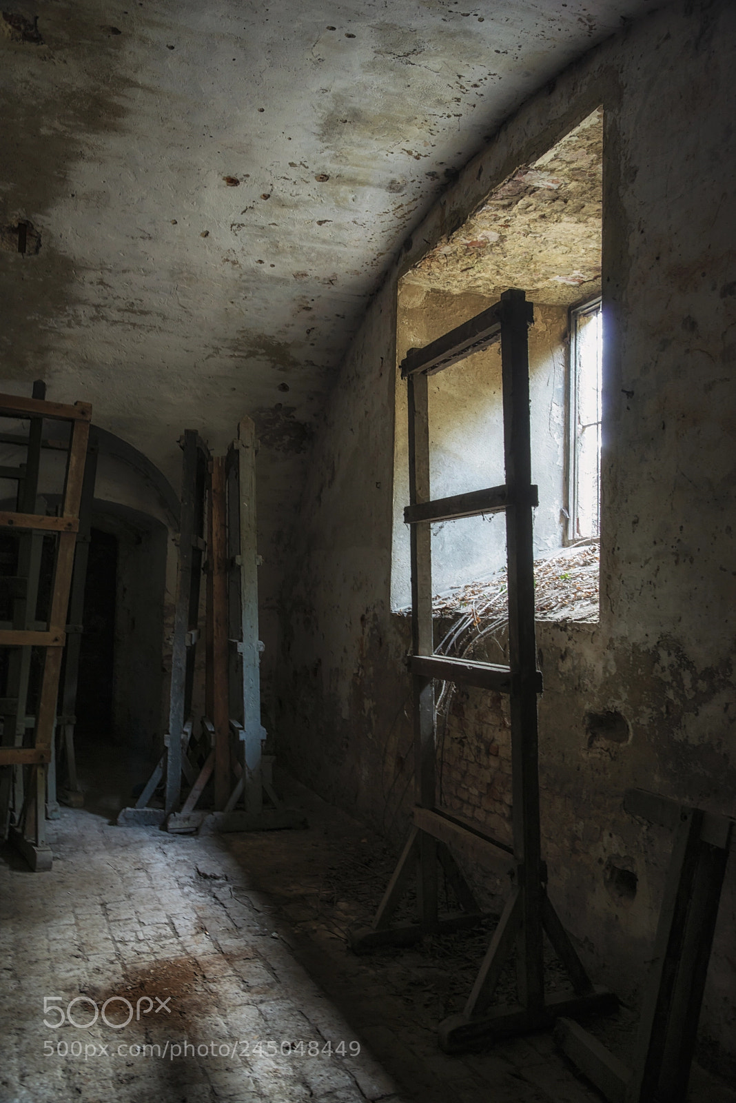 Nikon D800 sample photo. La cittadella-alessandria photography