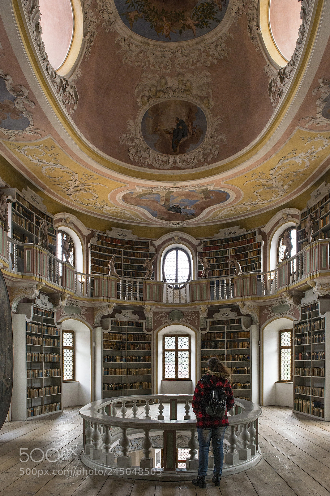 Nikon D610 sample photo. Old library in f photography