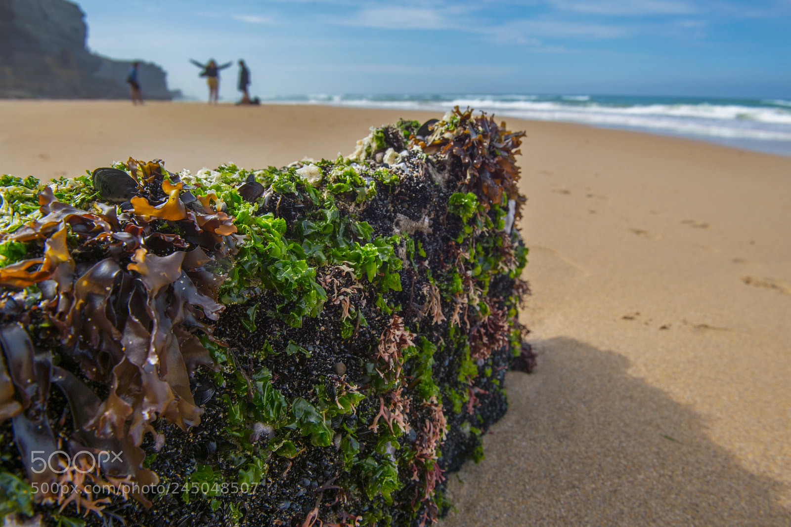 Nikon D610 sample photo. Azenhas do mar photography
