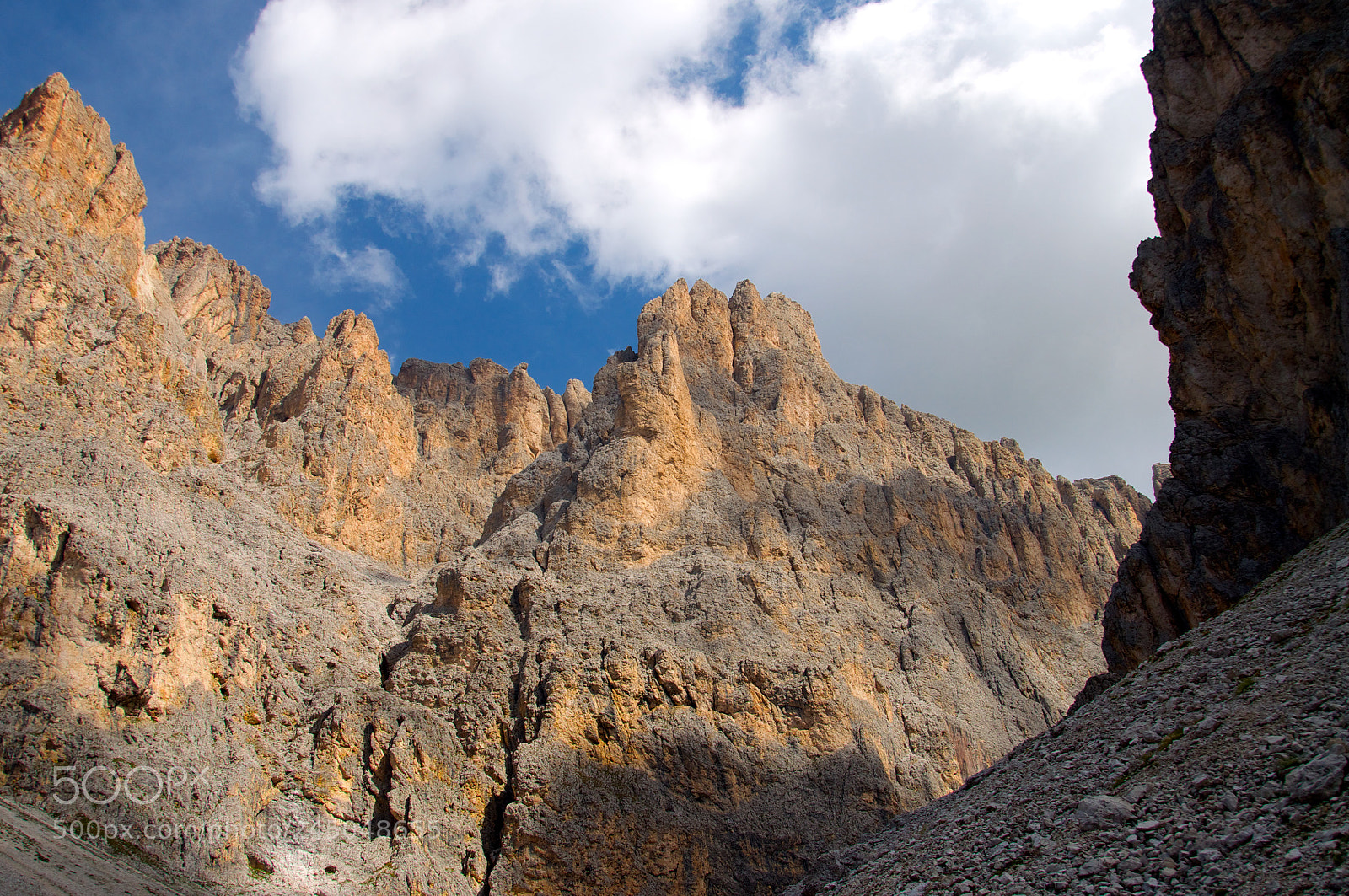Nikon D5000 sample photo. Near the sky photography