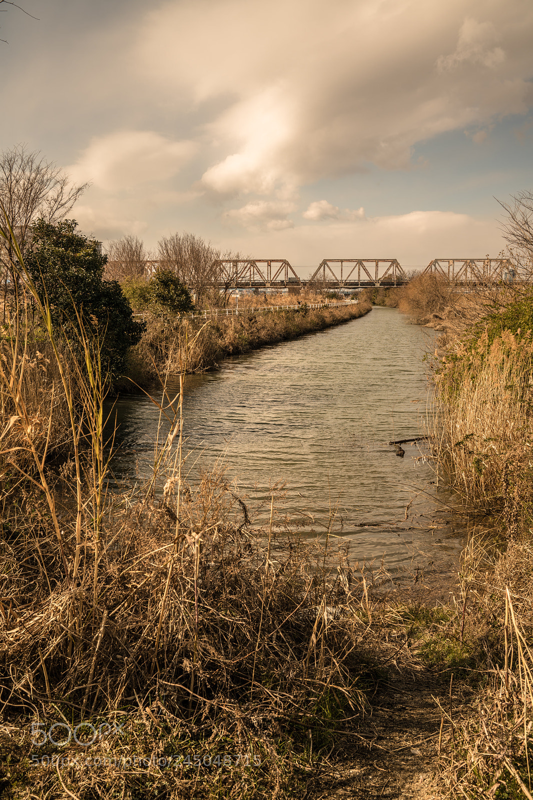 Sony a7R II sample photo. The river photography