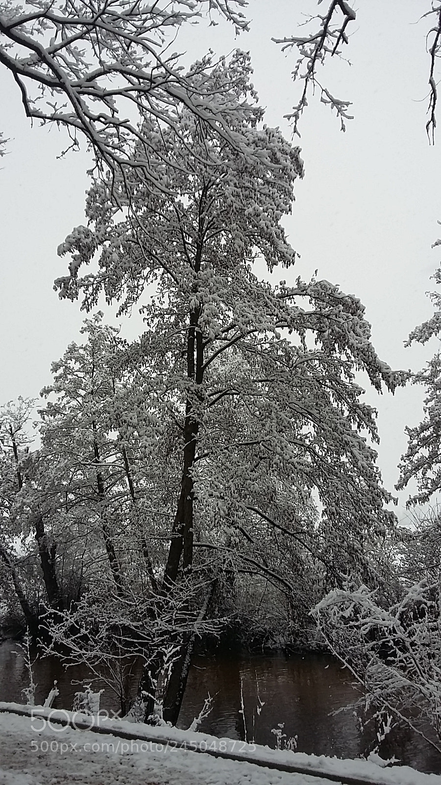 Samsung Galaxy Grand Prime sample photo. Untitled photography