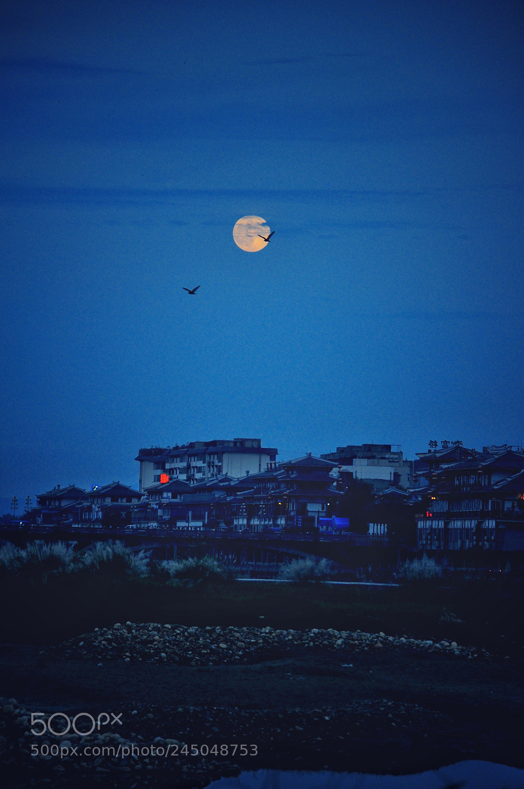 Nikon D90 sample photo. Untitled photography