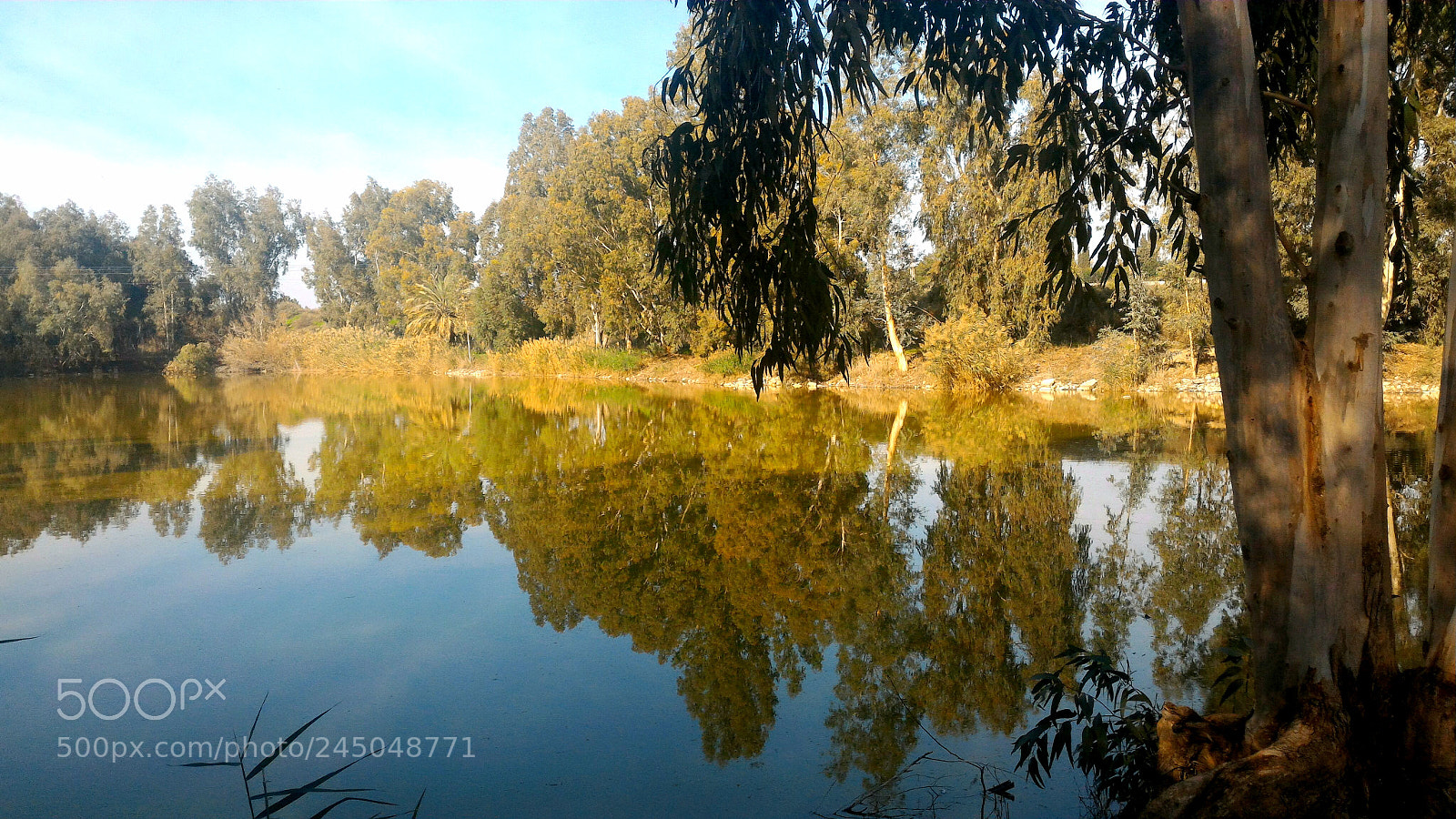 ASUS ZenFone 2 (ZE551ML) sample photo. Mirror photography