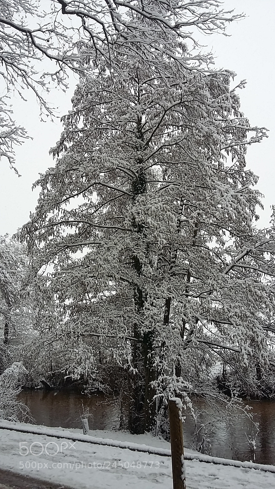 Samsung Galaxy Grand Prime sample photo. Untitled photography