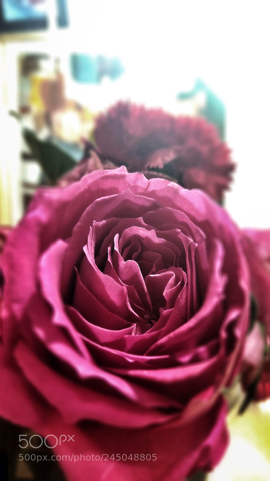 Xiaomi Redmi Note 4X sample photo. Flower 2 photography