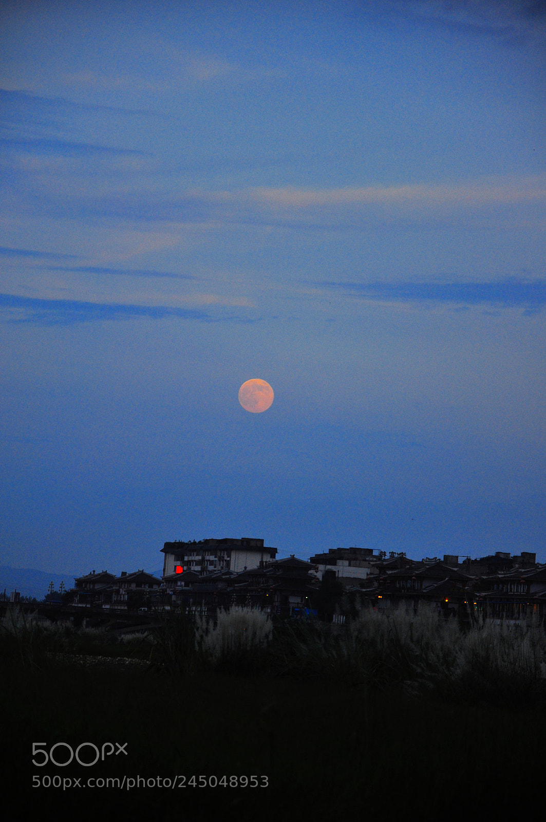 Nikon D90 sample photo. Untitled photography