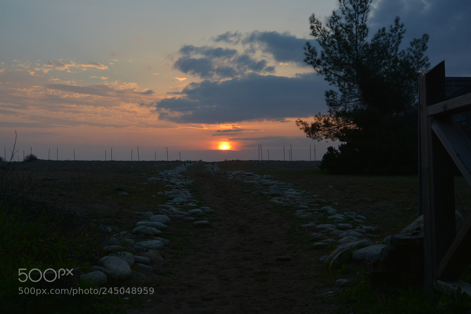Nikon D5200 sample photo. Untitled photography