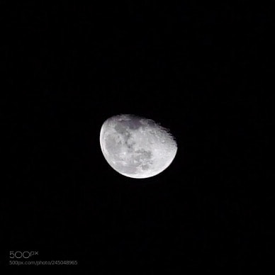Sony a7R II sample photo. Untitled photography
