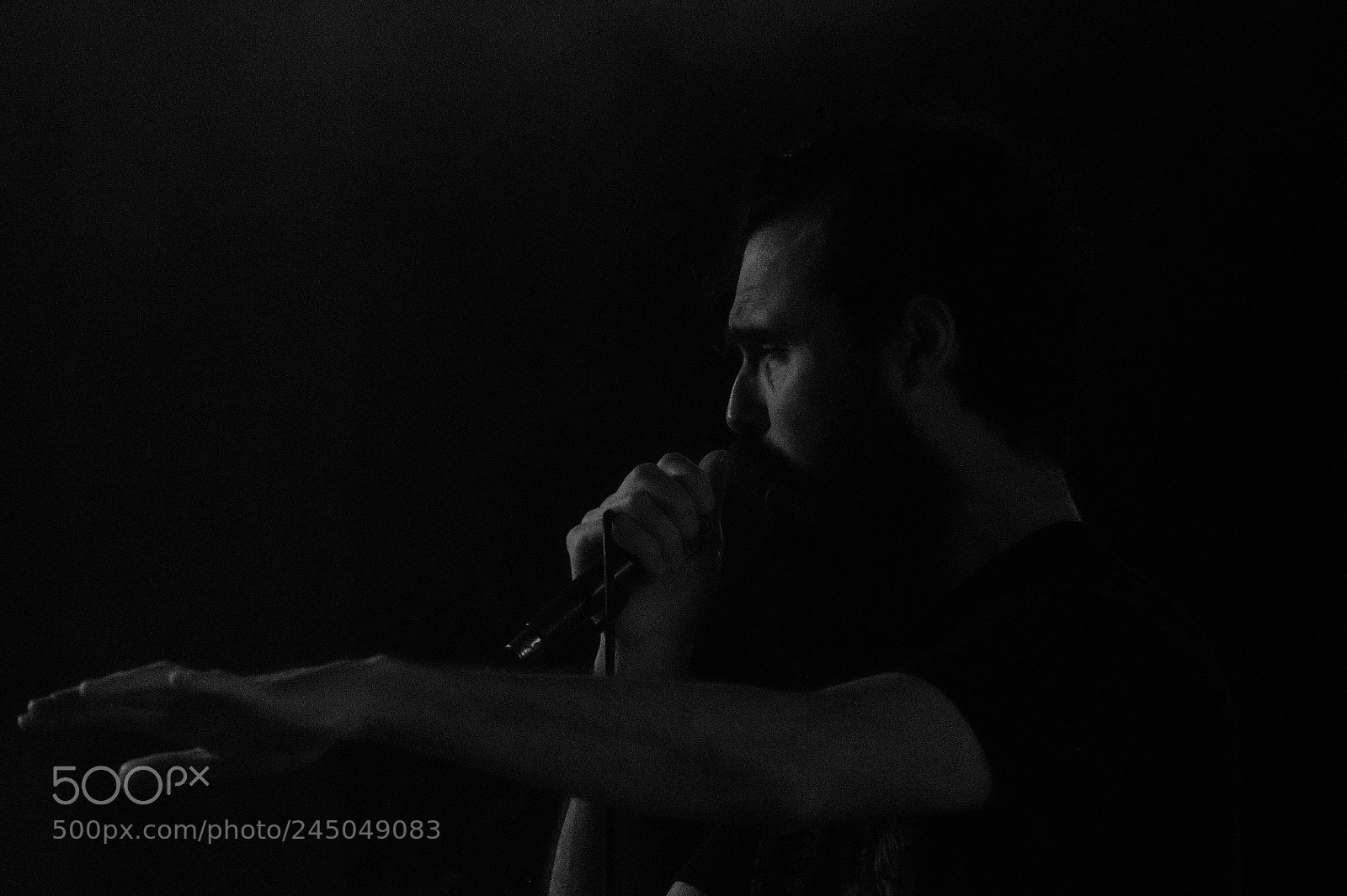Sony Alpha a3000 sample photo. Singer photography
