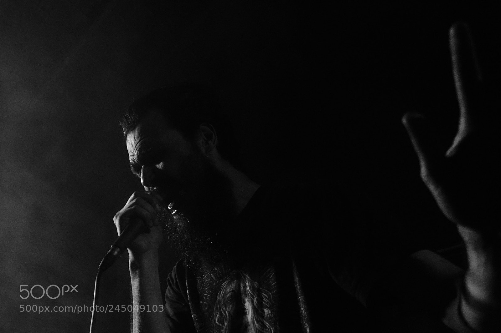Sony Alpha a3000 sample photo. Singer photography