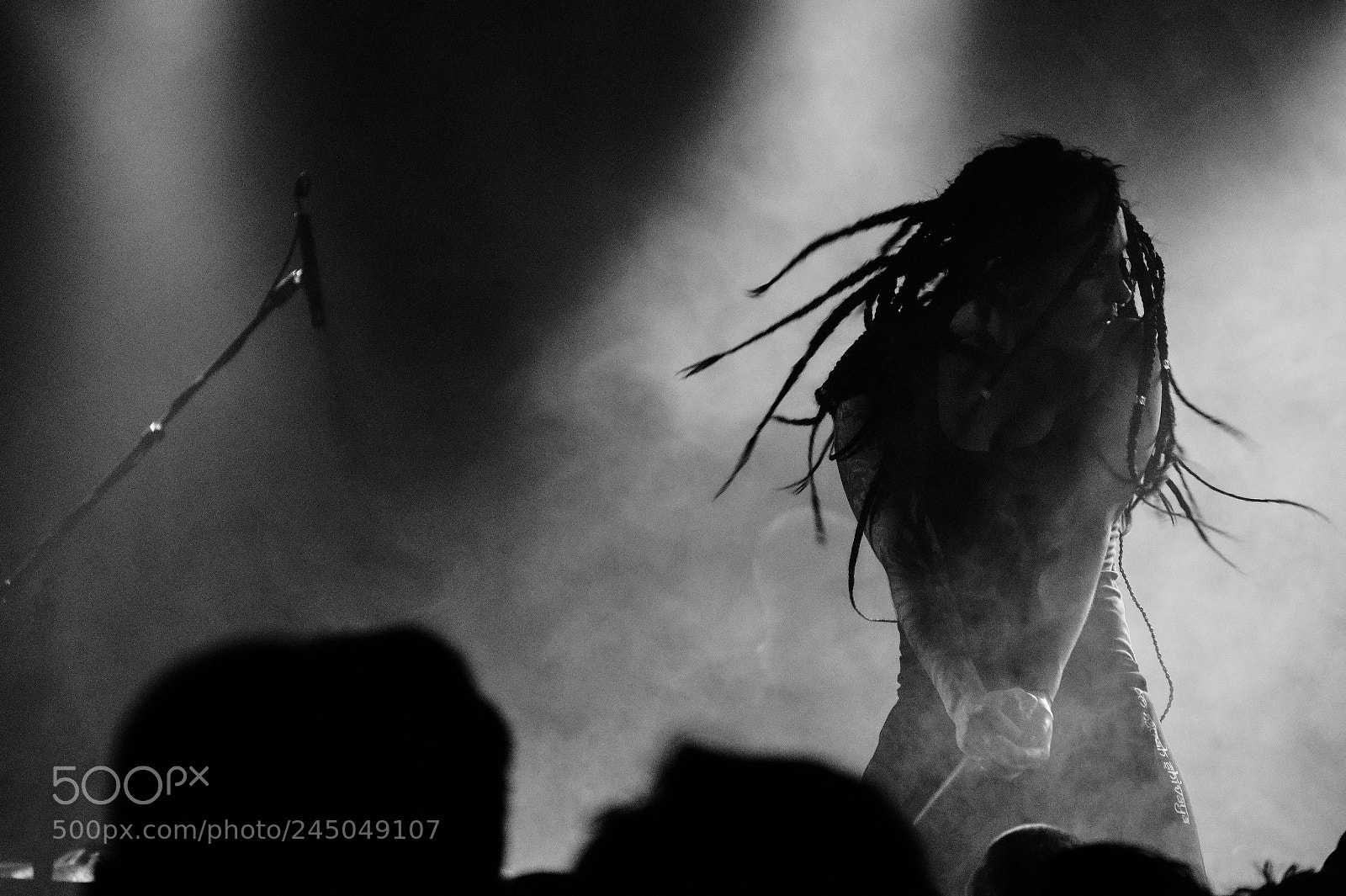 Sony Alpha a3000 sample photo. Singer photography