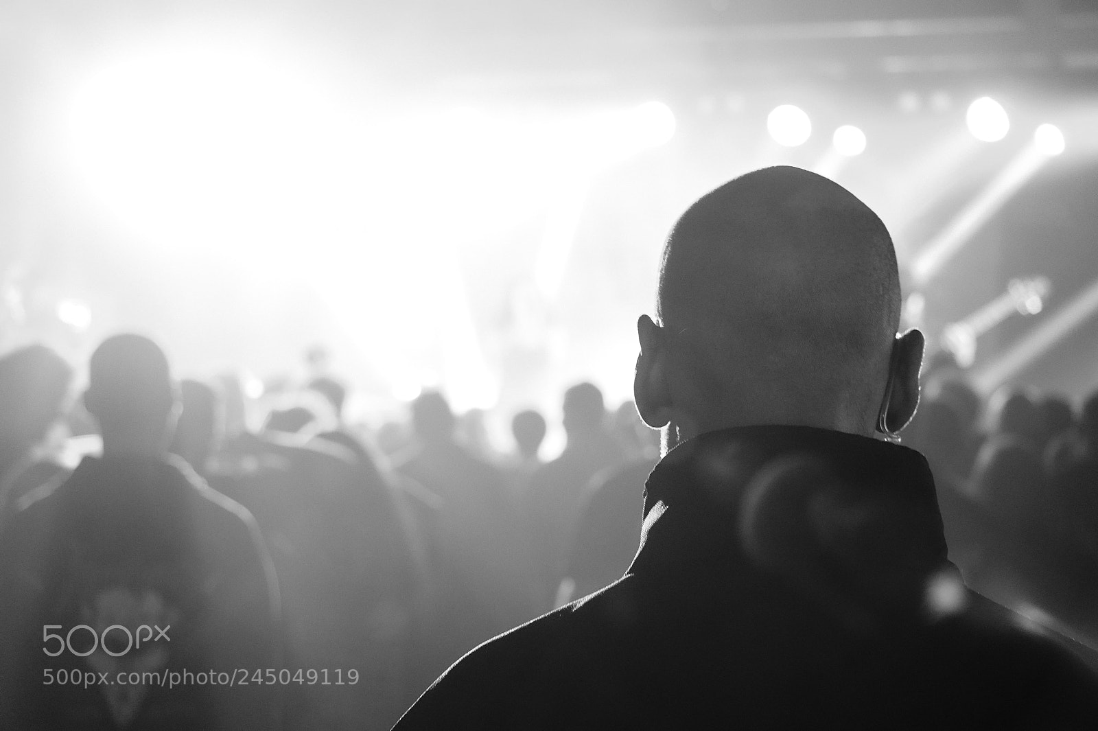 Sony Alpha a3000 sample photo. Watching from afar photography