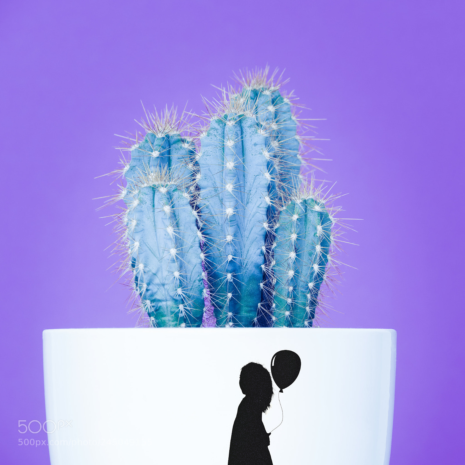 Nikon D810 sample photo. Trendy neon purple and photography