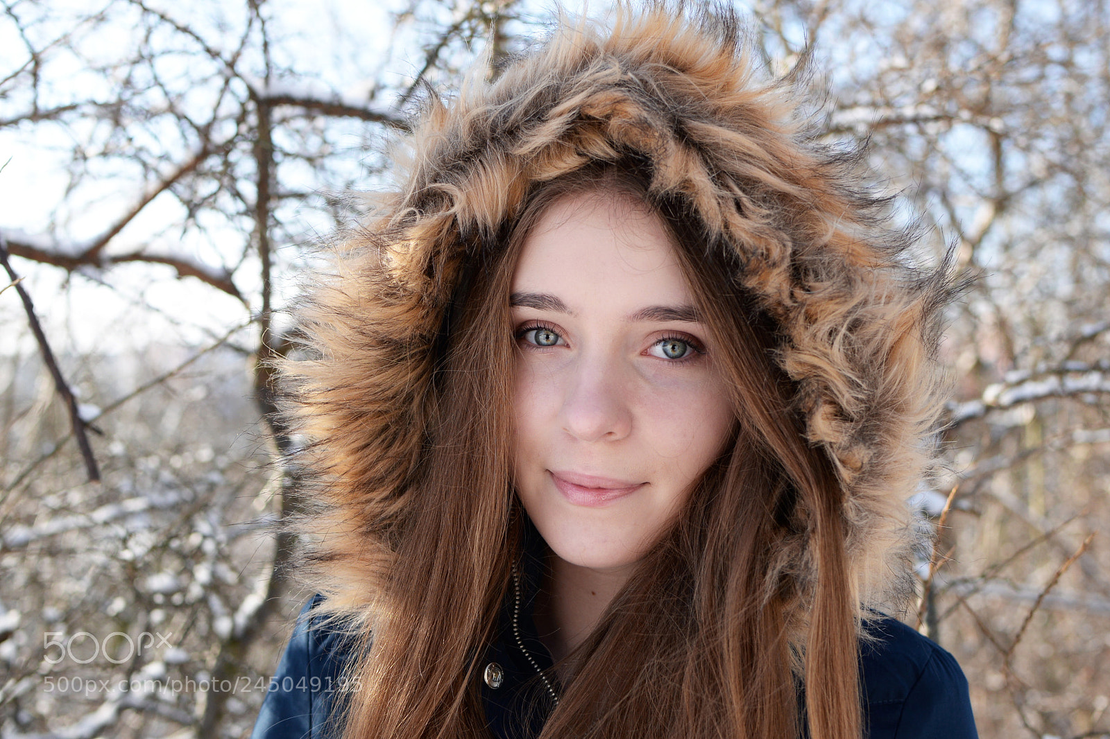 Nikon D610 sample photo. Winter photography