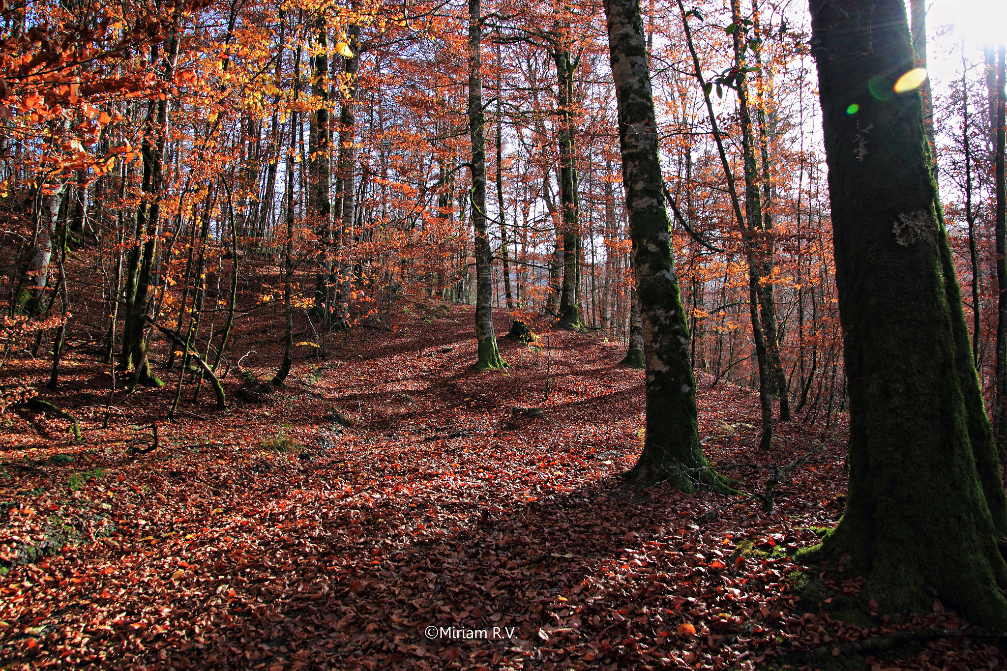Canon EOS 550D (EOS Rebel T2i / EOS Kiss X4) sample photo. Magic places photography