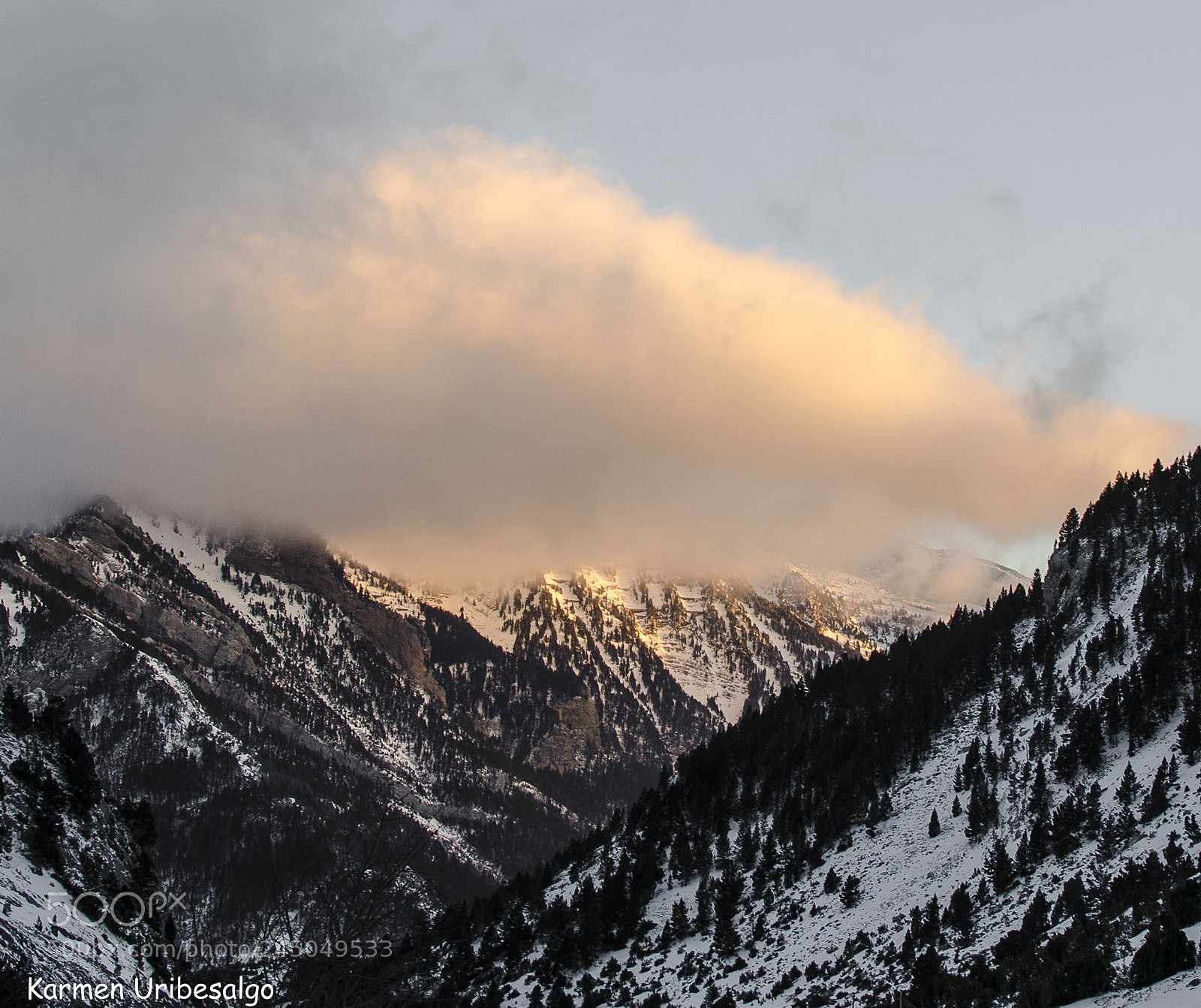 Nikon D5100 sample photo. Winter (de ) photography