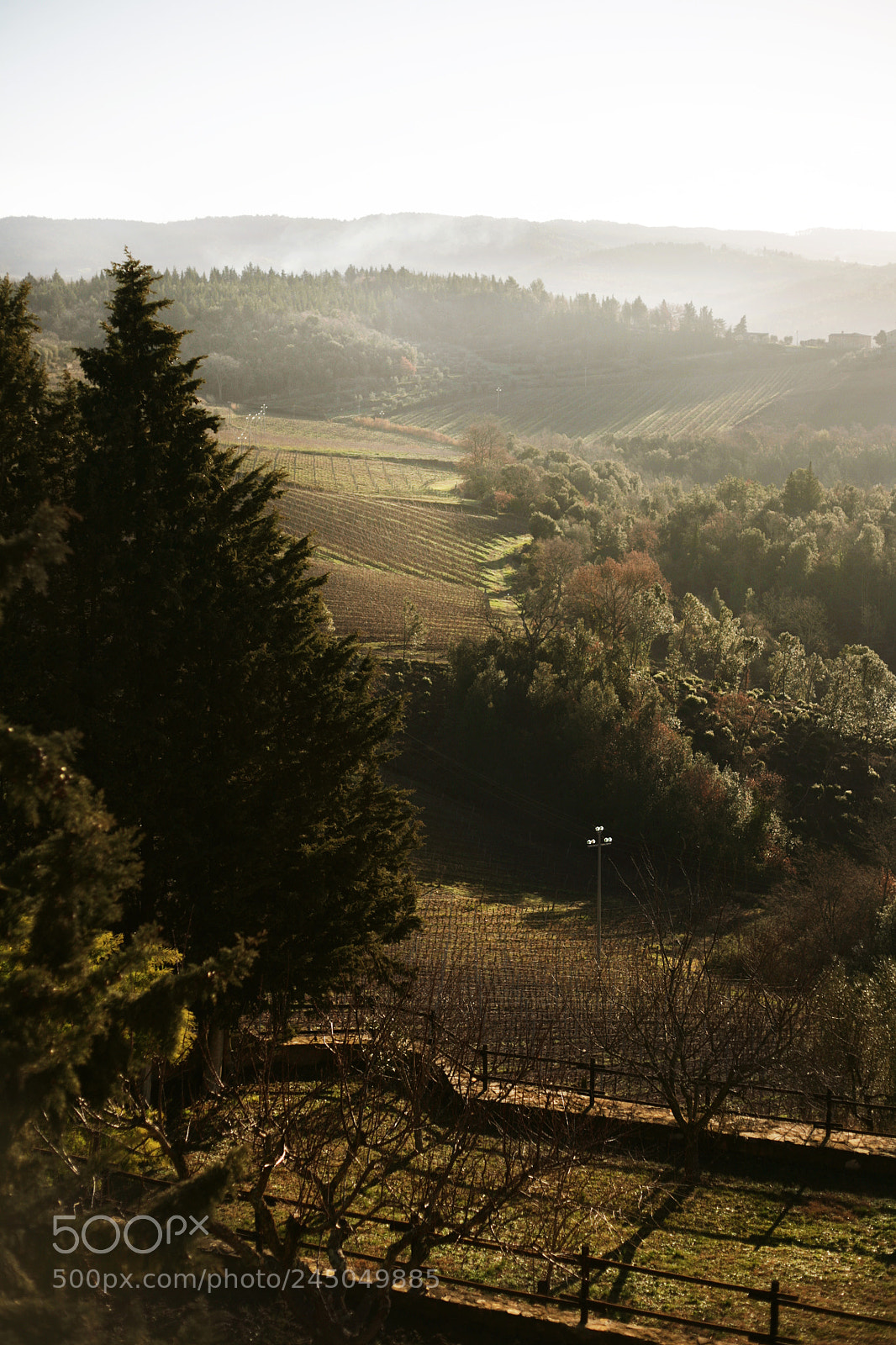Canon EOS 5D sample photo. 39 photography
