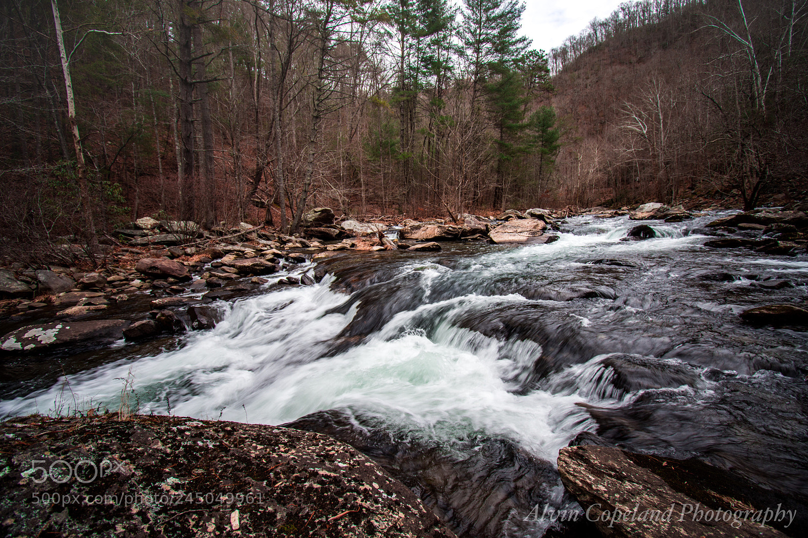 Nikon D7200 sample photo. Powerful photography