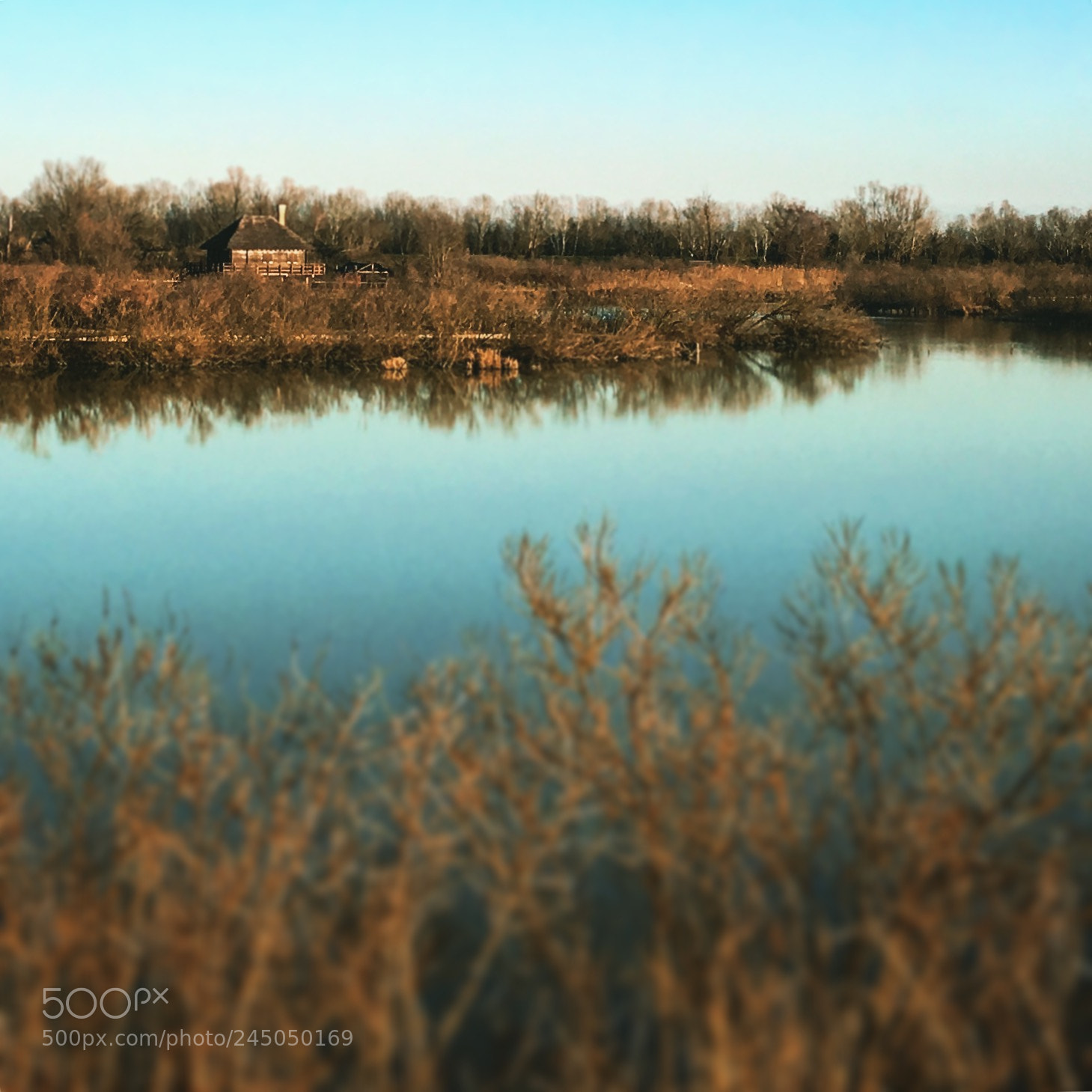 Apple iPhone 6s sample photo. On the river photography